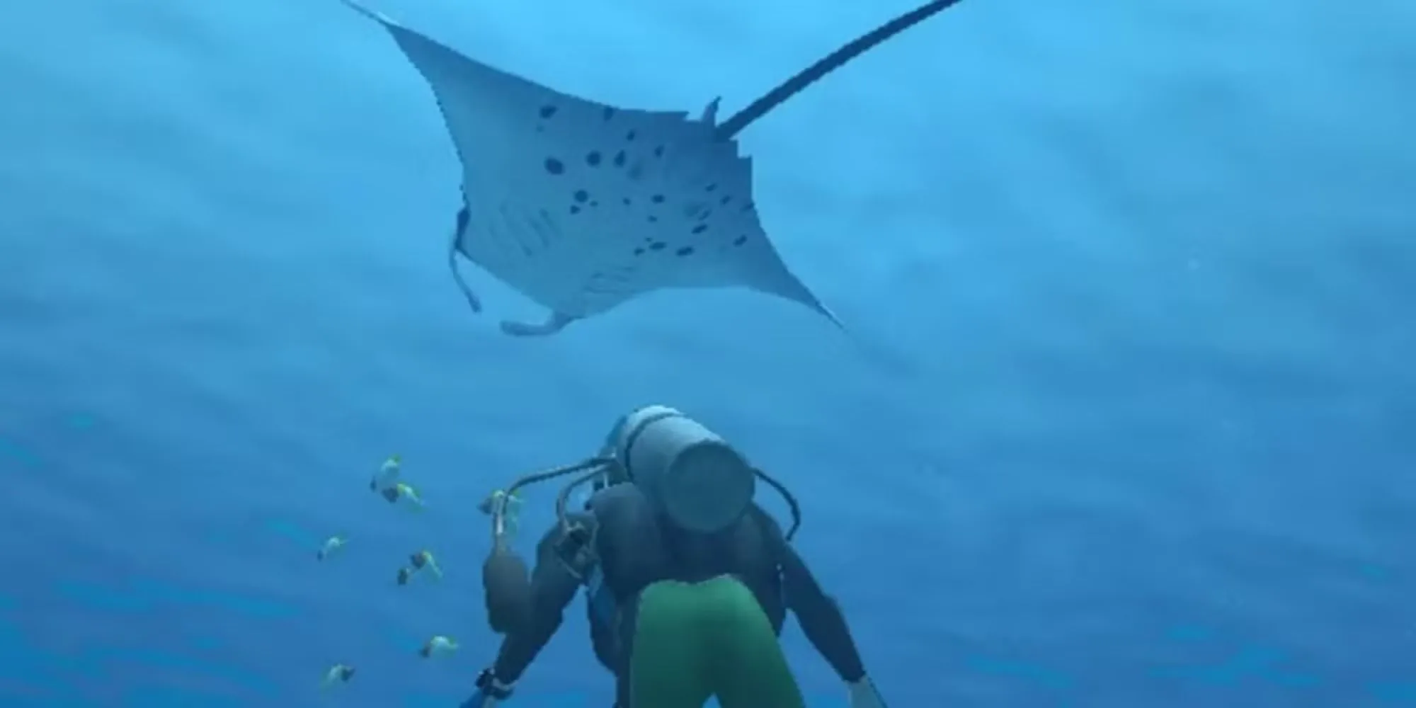 Nhân vật người chơi quan sát một con cá đuối manta trong Endless Ocean