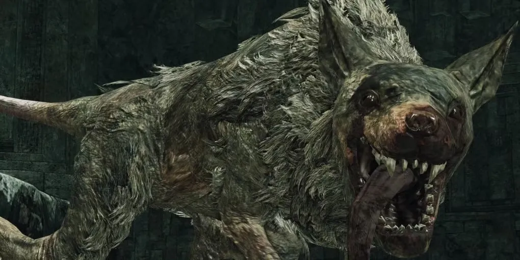 Trùm Royal Rat Authority từ Dark Souls 2 với bộ lông xám và đôi mắt đỏ