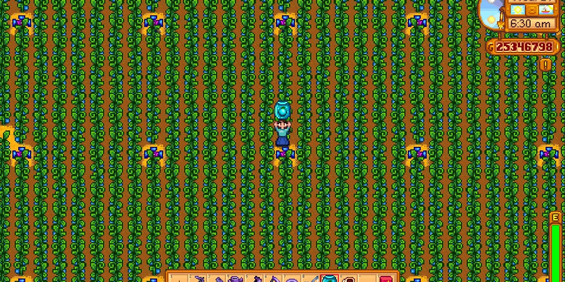 Ảnh chụp màn hình một trang trại Ancient Fruit khổng lồ trong Stardew Valley, cây trồng phủ kín màn hình