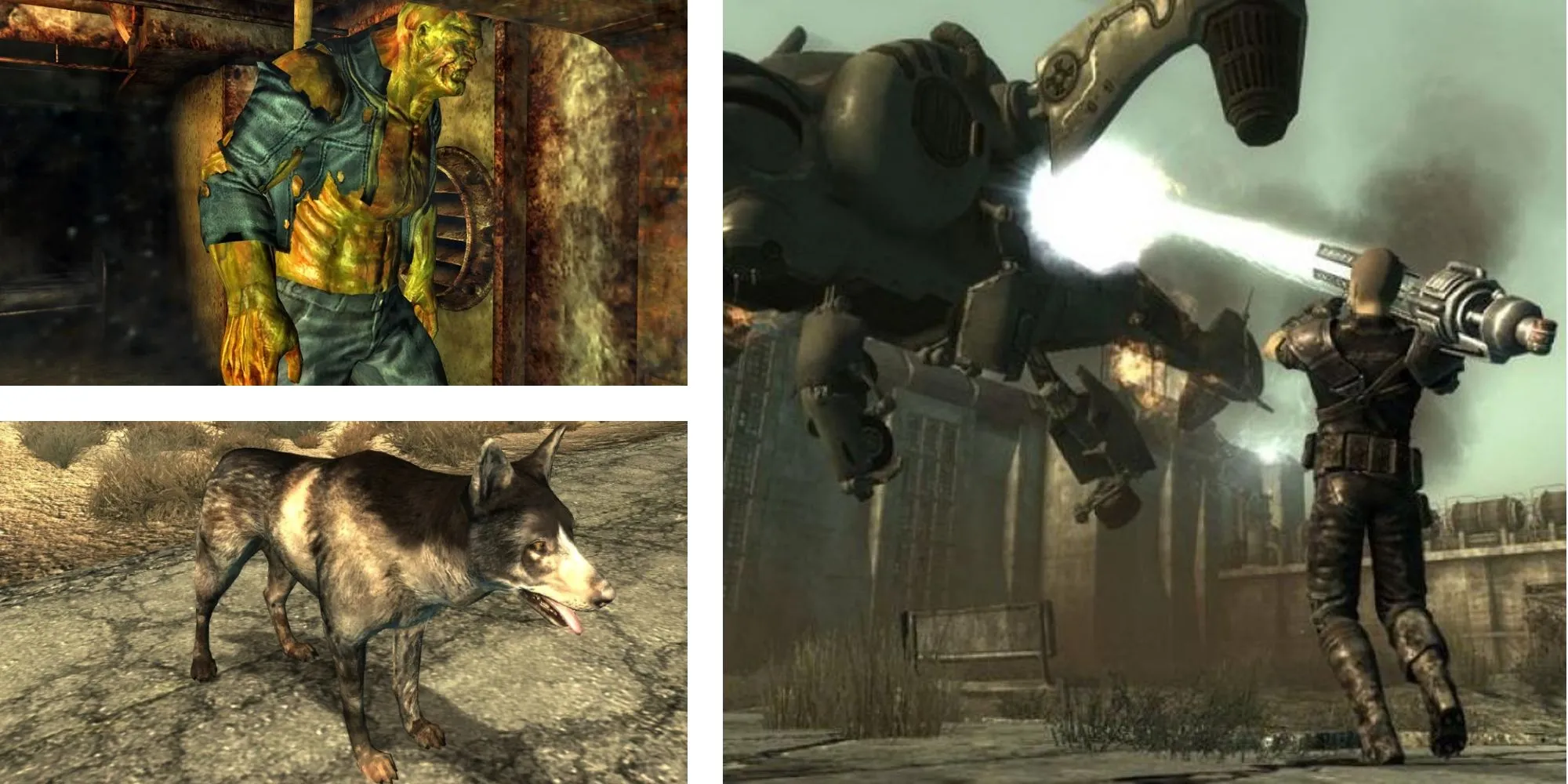 Các bạn đồng hành trong Fallout 3 xếp hạng