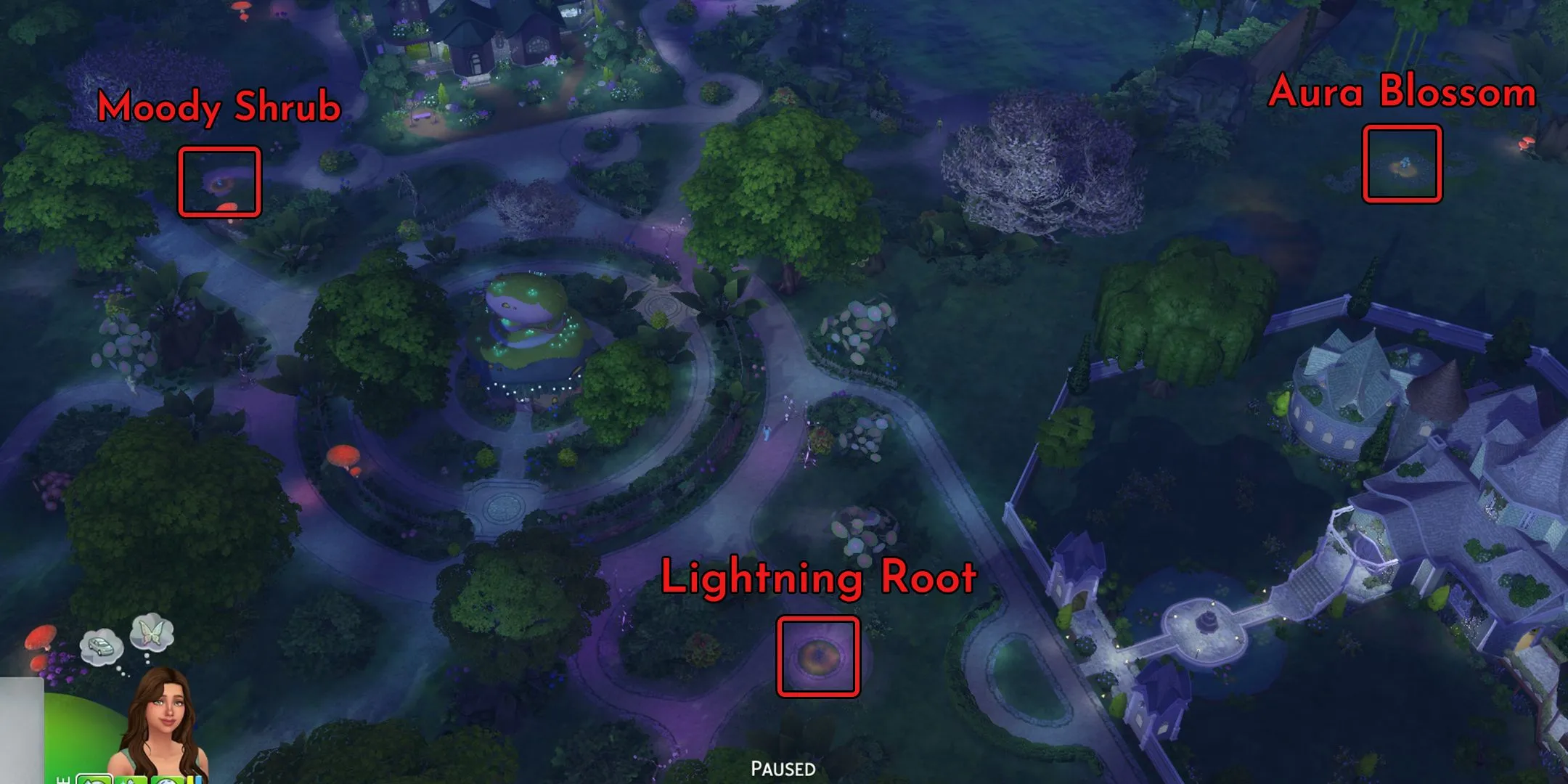 Cây Aura Blossom tỏa sáng gần hồ nước thần tiên trong The Sims 4