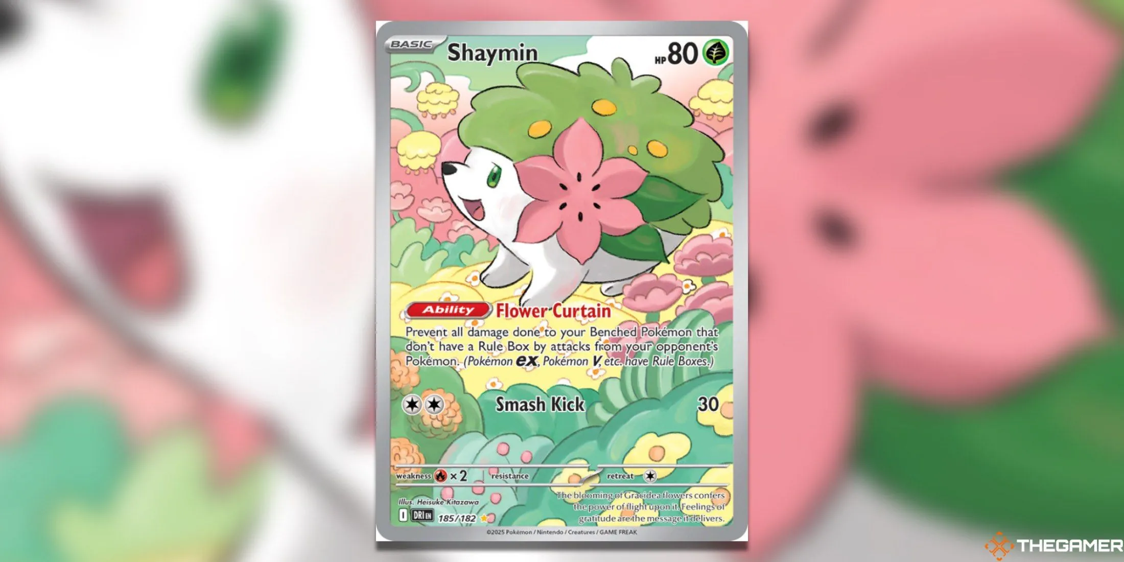 Shaymin trong lá bài Illustration Rare từ bộ Destined Rivals Pokemon TCG, với những bông hoa rực rỡ và tông màu xanh lá, trắng chủ đạo.